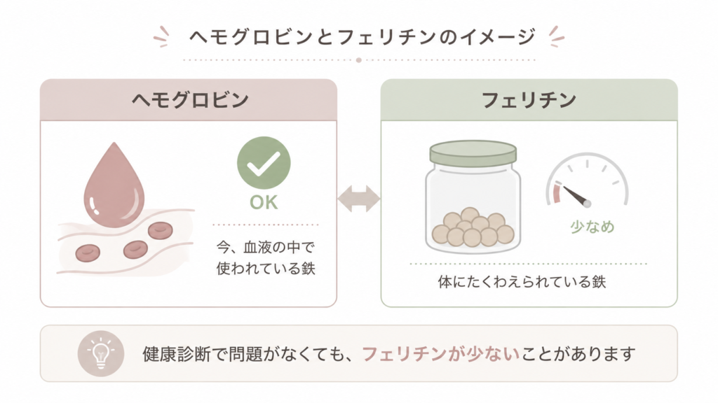 ヘモグロビンとフェリチンの違いを、使われている鉄と蓄えの鉄として説明した図解
